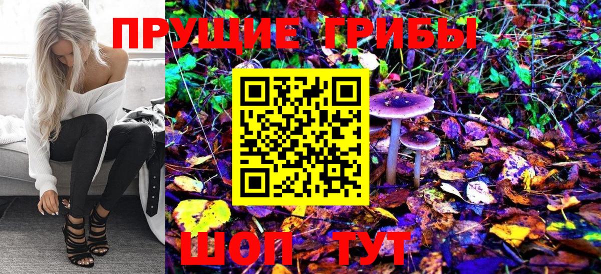 Галлюциногенные грибы Psilocybe  Вход с VPN  купить   Пенза 