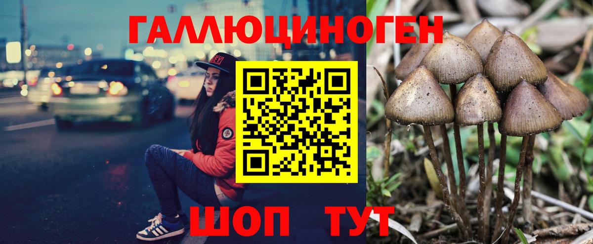 Псилоцибиновые грибы прущие грибы Пенза